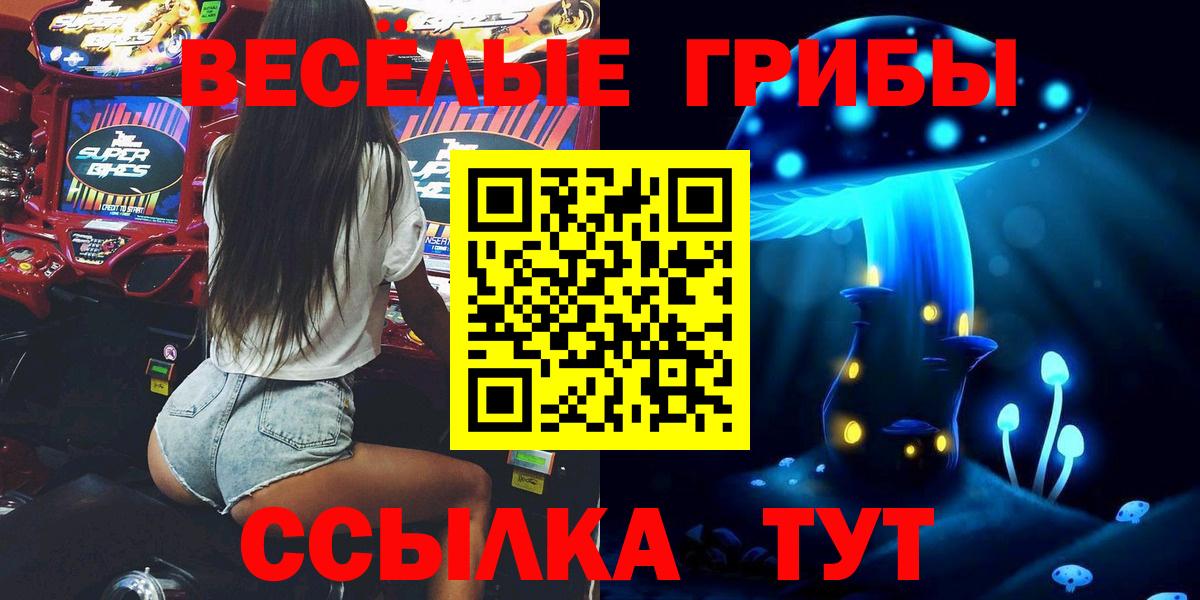 Волхов  Галлюциногенные грибы GOLDEN TEACHER  дарнет шоп  Вход с VPN 
